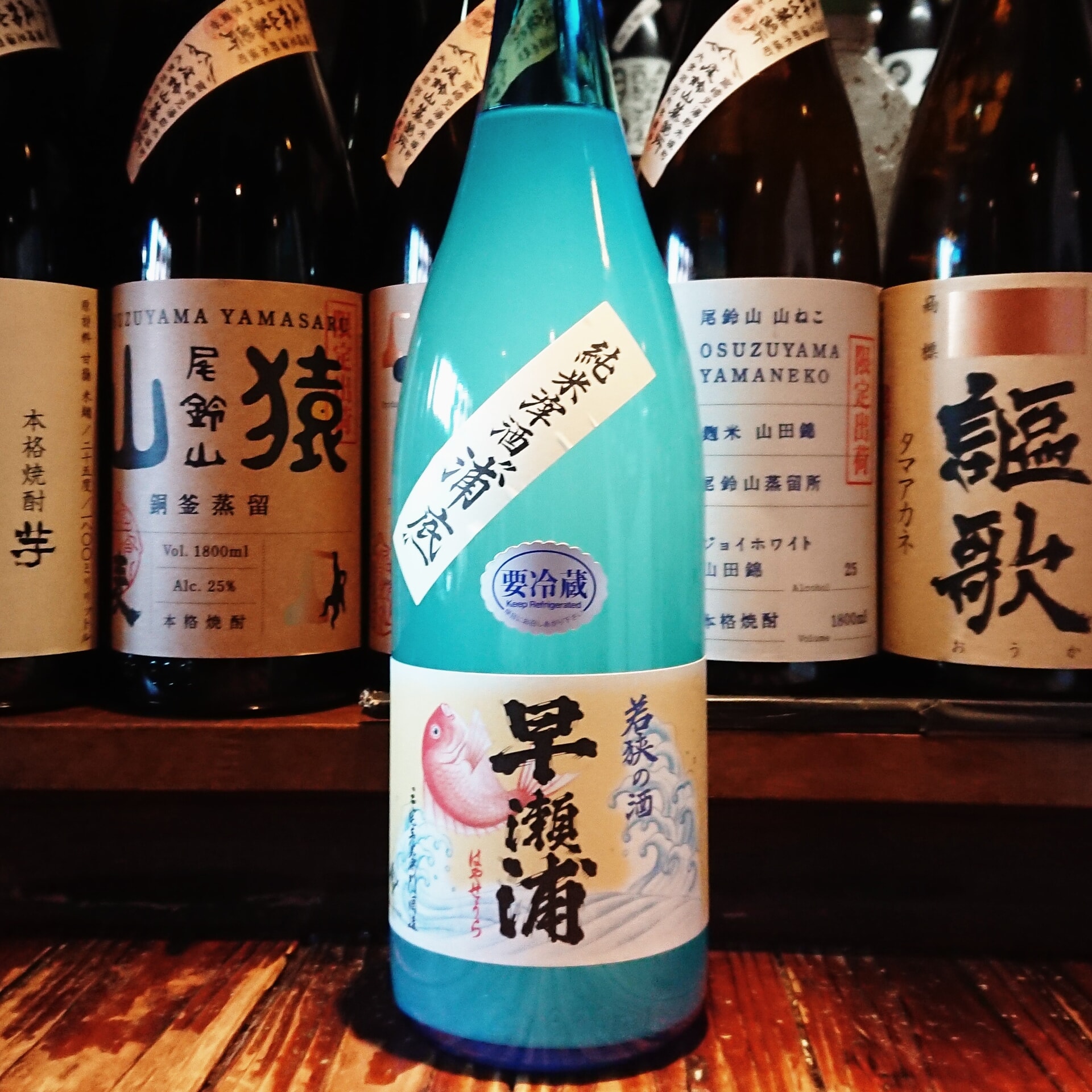 早瀬浦 浦底 早瀬浦 浦底